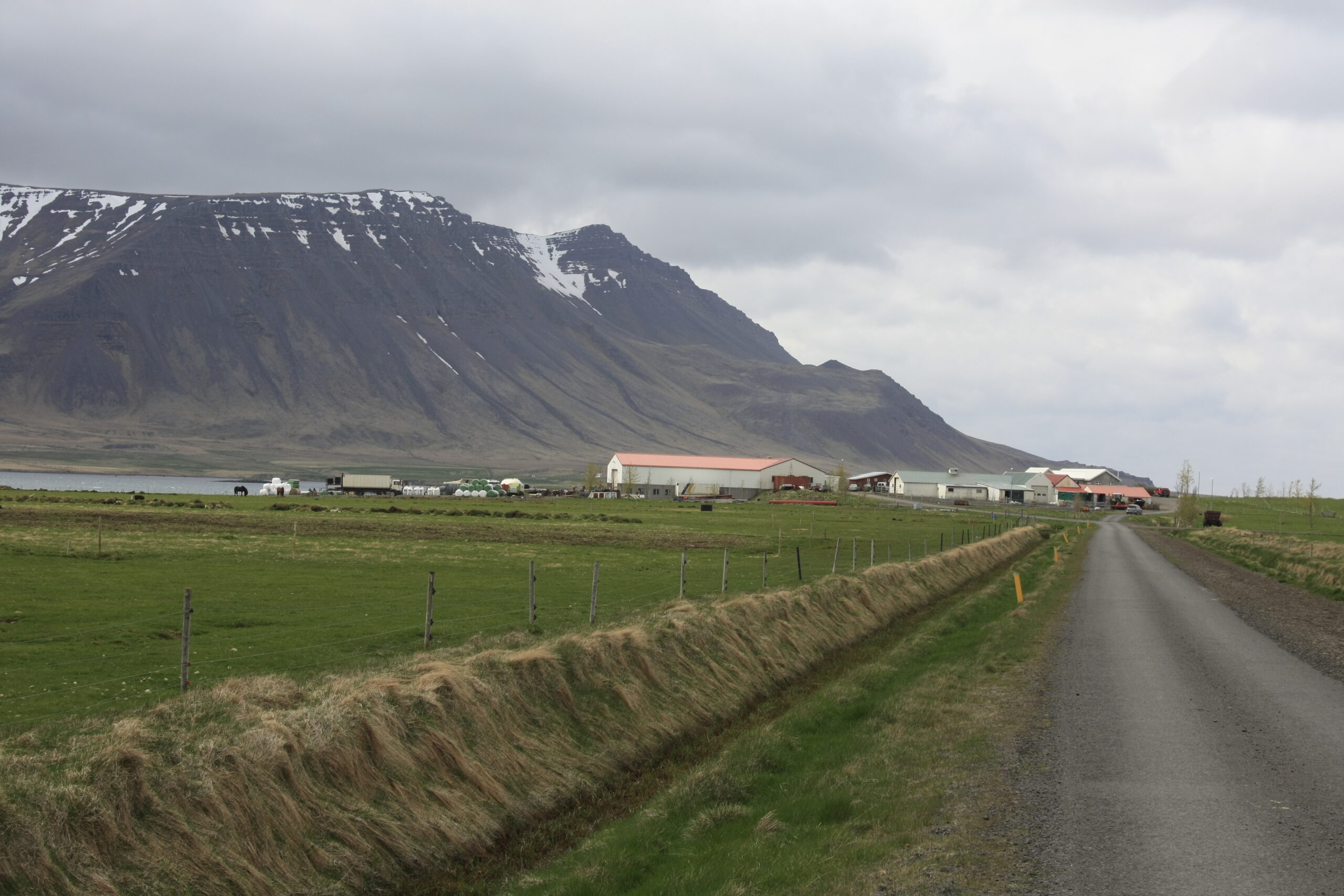 Skipanes farm in Iceland